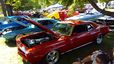 Filename=IMG_28102829.jpg
Filesize=384KiB
Dimensions=1304x733
Date added=Jun 12, 2018 IMG_28102829.jpg