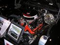 Picture_009~12.jpg